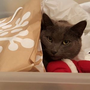 Meet your Posher, Glynis